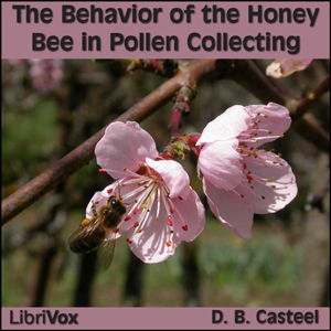 File:Behavior Honey Bee 1211.jpg