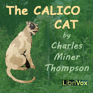 File:Calico cat 1210.jpg