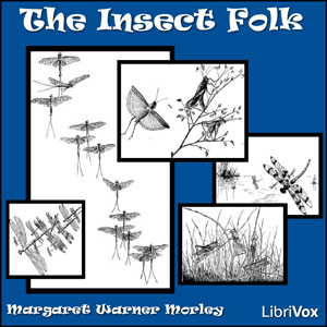 File:Insect Folk 1203.jpg