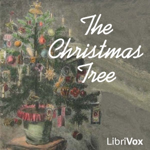 File:Christmas tree 1204.jpg