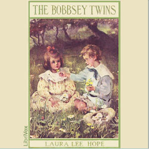File:Bobbsey twins 1012.jpg
