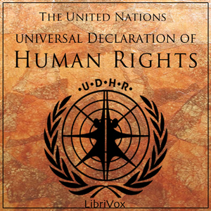 File:Universal Declaration of Human Rights 1110.jpg