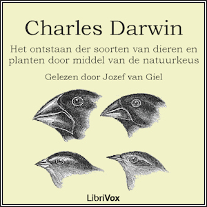 File:Darwin 1011.jpg