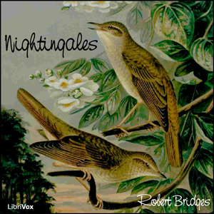 File:Nightingales 1201.jpg