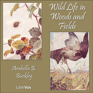 File:Wild Life Woods Fields 1110.jpg