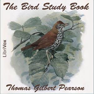 File:Bird study book 1107.jpg