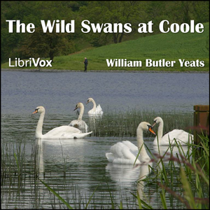 File:Wild Swans Coole 1210.jpg