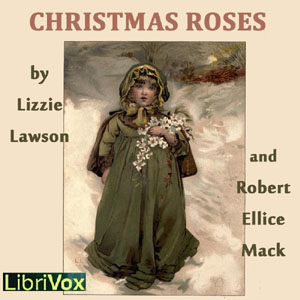File:Christmas roses 1210.jpg