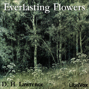 File:Everlasting Flowers 1111.jpg