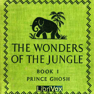 File:Wonders jungle 1305.jpg