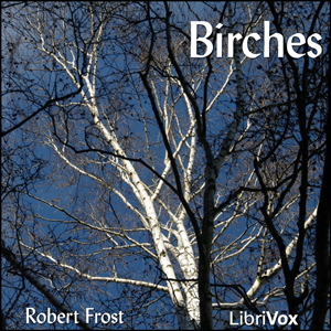 File:Birches 1210.jpg