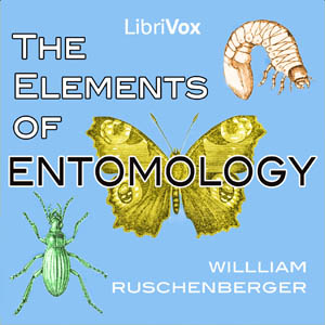 File:The elements of entomology 1110.jpg