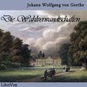 Die Wahlverwandtschaften von Johann Wolfgang von Goethe Katalogseite Runterladen-Download: Teil 1, Teil 2 (64kbps/149-151MB)