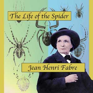 File:Life of spider.jpg