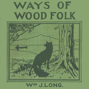 File:Ways of wood folk 1402.jpg