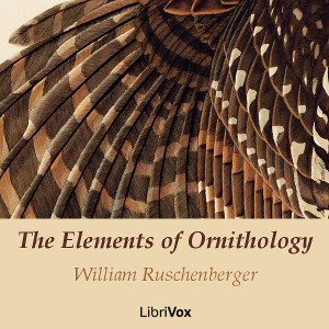 File:Elements of Ornithology v1 1310.jpg
