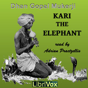 File:Kari elephant 1404.jpg
