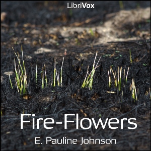 File:Fire-Flowers 1309.jpg