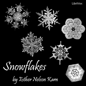File:Snowflakes 1301.jpg