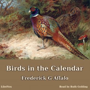File:Birds in calendar 1011.jpg