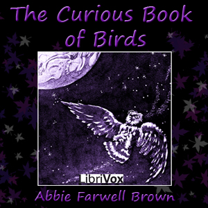 File:Curiousbookofbirds 1309.jpg