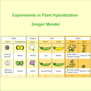 File:Experiments plant hybridisation.jpg