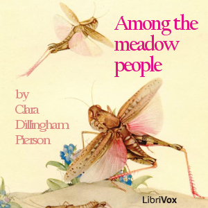 File:Among the meadow people by Dillingham Pierson 1311.jpg