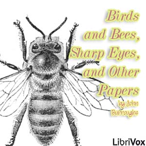 File:Birds and bees sharp eyes and other papers 1405.jpg