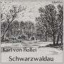 Thumbnail for File:Schwarzwaldau 1401.jpg