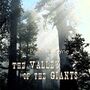 Thumbnail for File:Valley of the Giants 1004.jpg